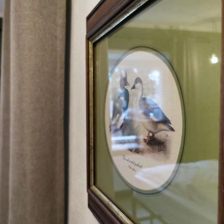Bed and Breakfast Zum G'Leut Thiersheim Экстерьер фото